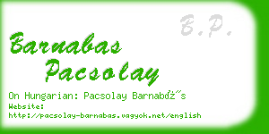 barnabas pacsolay business card